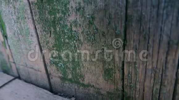 旧漆木栅栏的质感视频的预览图