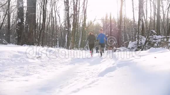 冬季森林年轻人和女人在早晨的树林里跑步美丽的阳光和晶莹的雪视频的预览图