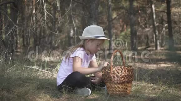 阳光明媚的一天小女孩在森林里采蘑菇蘑菇采摘蘑菇季节可爱的女孩视频的预览图