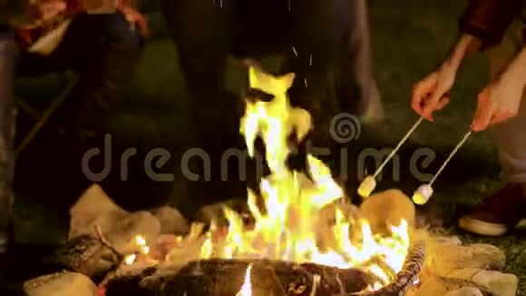亲密的朋友在篝火上烤棉花糖视频的预览图