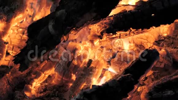 篝火在夜间燃烧树木视频的预览图