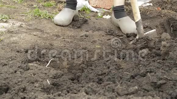 农夫园丁用铲子在花园里挖土穿着胶鞋和铲子男人的脚视频的预览图