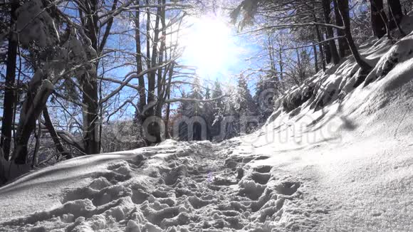 山径上的冬季景象视频的预览图