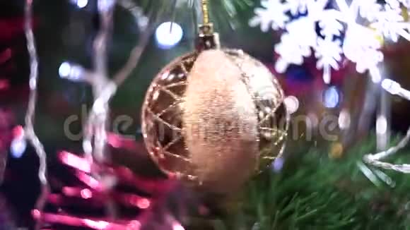 一个透明的大圣诞树球上面满是金色的金卷筒在绿色的树枝间旋转近景视频的预览图