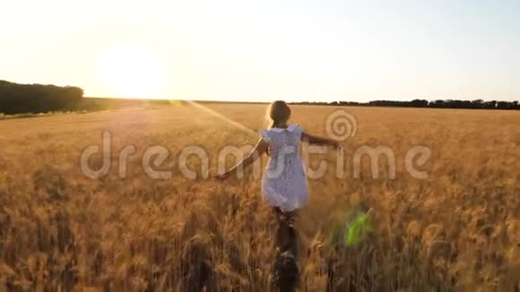 快乐的小女孩在成熟的麦子里在美丽的山谷里慢慢动作视频的预览图