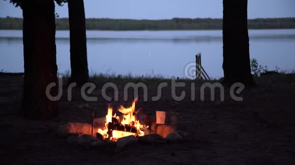 在暮色中燃烧的营地火灾在湖边的景色被树的轮廓所包围烧火的地方被水包围视频的预览图