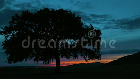 夜幕降临时孤独的树时间流逝视频的预览图