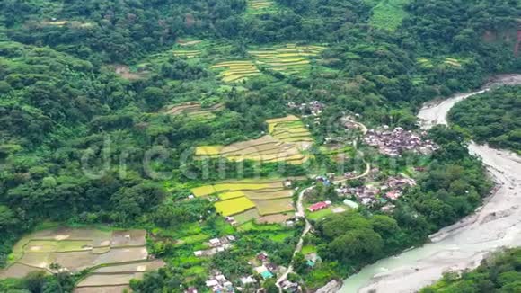 菲律宾的水稻梯田这个村庄位于水稻梯田的山谷中北方的水稻种植视频的预览图