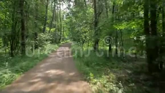 自行车骑在狭窄的小路上穿过公园里茂密的树木视频的预览图