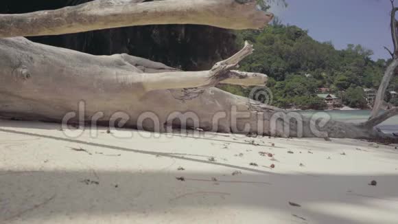 塞舌尔普拉斯林岛干枯的树躺在印度洋一个岛屿的海滩上热带岛屿豪华视频的预览图