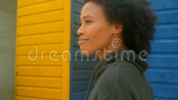 体贴的年轻非裔美国女人在海滩小屋里散步视频的预览图