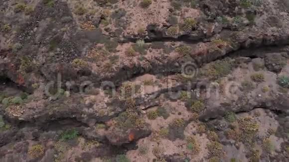 空中观景相机落在火山成因的岩石上西班牙特内里费视频的预览图