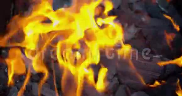 橙色火焰在黑色特写视图上视频的预览图