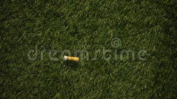 烟头扔在绿草上不负责任的吸烟者造成危险火灾视频的预览图