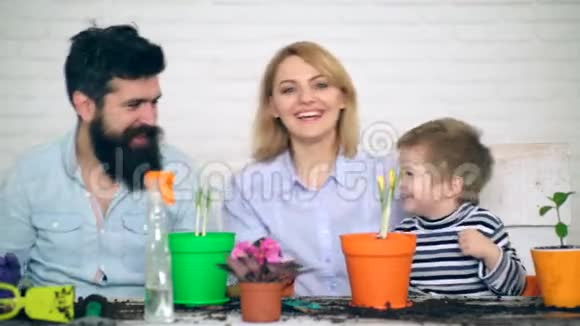 这家人在花盆里种花后玩得很开心国土歌唱盆栽花卉幸福家庭视频的预览图