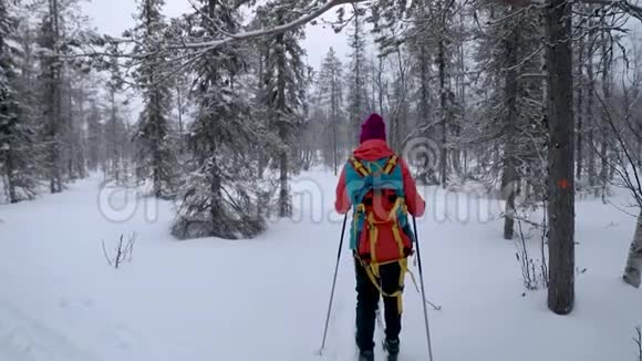 滑雪巡回赛白雪皑皑的冬林中带着滑雪板的女人视频的预览图