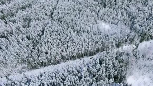道路穿冬林鸟瞰动作白雪覆盖的松树森林令人叹为观止视频的预览图