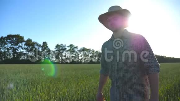 戴着帽子的英俊的男农民走在他农场的绿色麦田上年轻有信心的男人去谷物种植园视频的预览图