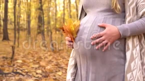 一位孕妇走过秋天的森林黄色的叶子视频的预览图