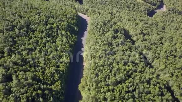 从绿色森林中俯瞰美丽的道路视频的预览图