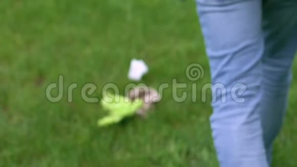 在不负责任的在草坪上扔纸杯后男志愿者捡垃圾视频的预览图