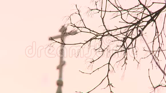 俄罗斯村庄冬天的老信徒教堂视频的预览图