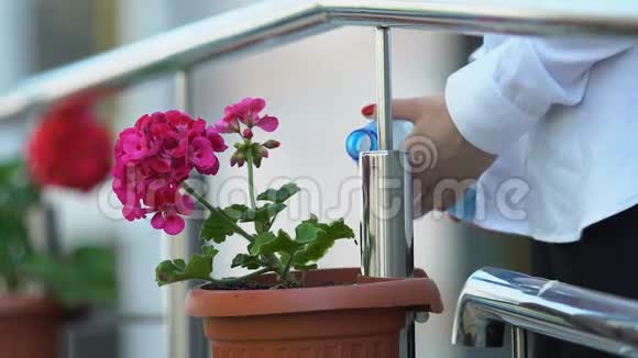 女用塑料瓶在花盆里浇水保护自然爱好视频的预览图