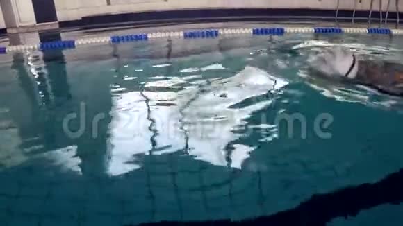 健康的生活方式女运动员戴着帽子戴着眼镜在比赛前的训练中漂浮在游泳池里视频的预览图