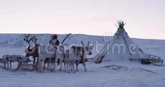 西伯利亚蒙古包营中部的特写信纸雪天视频的预览图