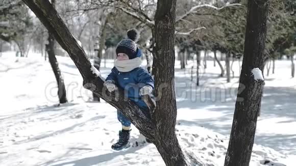一个在白雪皑皑的冬天公园里的小男孩爬上一棵树把一支钢笔摇进相机里视频的预览图