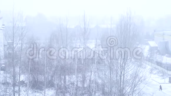 冬天城市背景下的飞雪视频的预览图