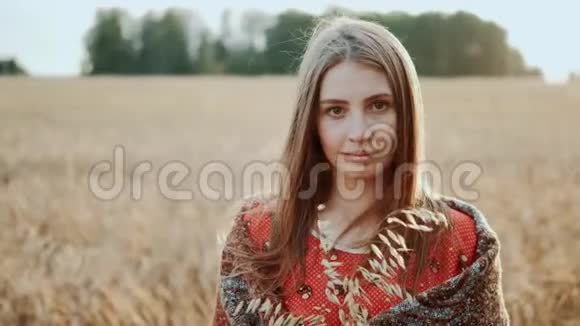 美丽的年轻女孩站在麦田里在夕阳下看着相机的肖像现代农业快乐视频的预览图