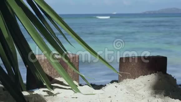 塞舌尔普拉斯林岛两个切好的手掌和棕榈叶在前景的风中摇曳美丽的海景视频的预览图