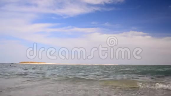 英国公鸡斯帕尼尔在海里游泳海岸上的狗视频的预览图