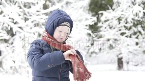 冬天男孩把围巾围在脖子上视频的预览图