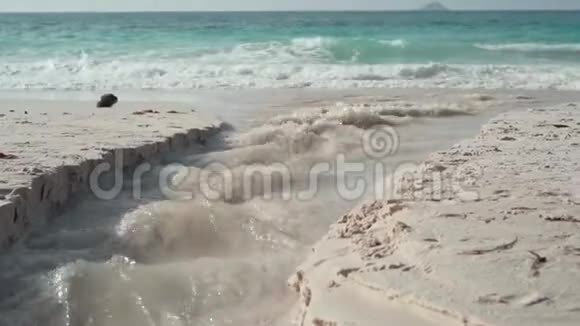 塞舌尔普拉斯林岛清澈有力的水流入海特写美丽的空海滩视频的预览图