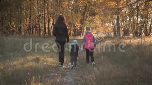 母亲和两个孩子在公园里散步享受美丽的秋天自然幸福的家庭在秋天散步视频的预览图