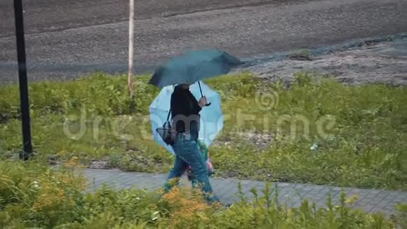 一个女人带着一个孩子在雨伞下走在公园里牛雨侧视视频的预览图