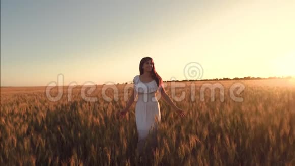 在一个温暖的夏日夜晚田野里美丽的女孩抚摸着成熟的小麦的耳朵穿着白色连衣裙的快乐女孩漫步田野视频的预览图