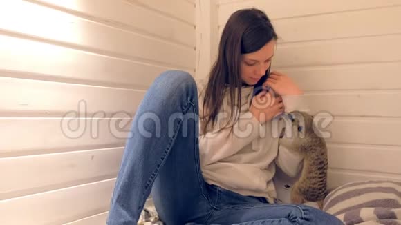 女人在家和猫鼬拥抱宠物在家视频的预览图