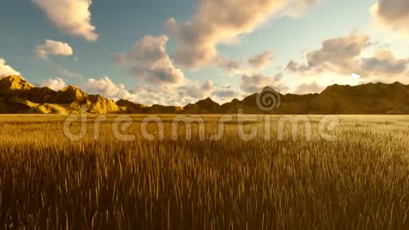 秋天的景色黄草蓝天白云朝阳和远处的群山美丽的夏天视频的预览图