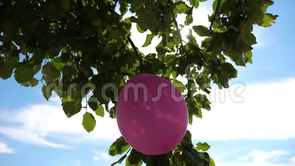 花园里的风景为孩子们节日生日儿童节日用气球乡村节日装饰视频的预览图