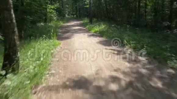 快速的自行车速度沿地面通过绿色森林视频的预览图