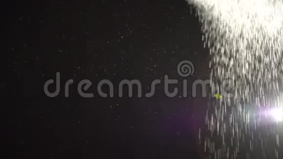 漂浮的有机灰尘兔子在黑色的背景上闪闪发光视频的预览图