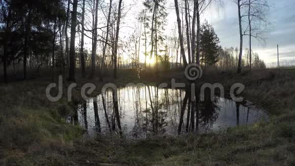 春天的太阳从池塘升起时间流逝4K视频的预览图