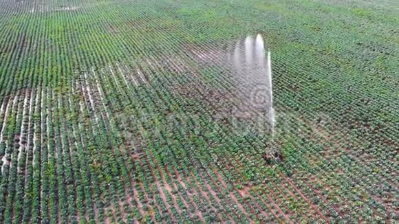 灌溉喷头现场航拍Drone的观点视频的预览图