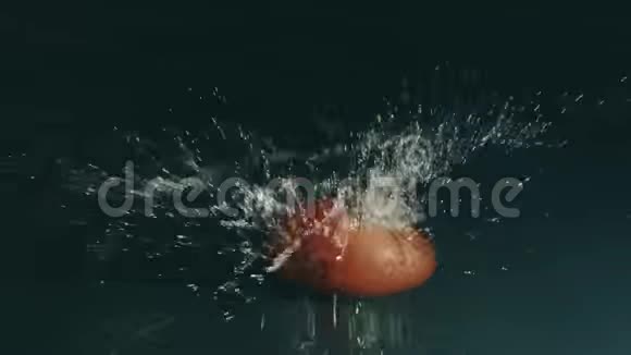番茄在黑暗的背景下落在潮湿的表面红色慢镜头视频的预览图