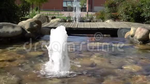池塘里一个泉水的形式的小喷泉把一股水流冲上来视频的预览图