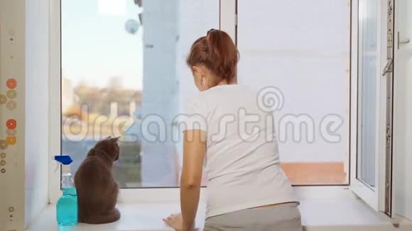 猫看着他的情妇洗窗户视频的预览图