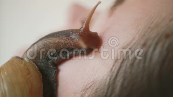 在水疗中心一位年轻女士吃蜗牛的死皮她用蜗牛做面部按摩蜗牛视频的预览图